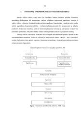 Finansiniai sprendimai, jų formavimas ir priėmimas 12 puslapis