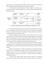 Finansiniai sprendimai, jų formavimas ir priėmimas 15 puslapis