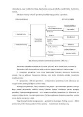 Finansiniai sprendimai, jų formavimas ir priėmimas 6 puslapis