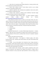 Finansiniai sprendimai, jų formavimas ir priėmimas 10 puslapis