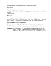 Kūrybiškumo tyrimas pagal  E. P. Torencą 2 puslapis