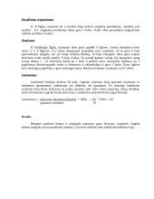 Kūrybiškumo tyrimas pagal  E. P. Torencą 5 puslapis