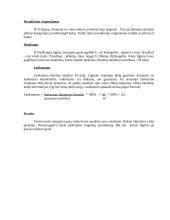 Kūrybiškumo tyrimas pagal  E. P. Torencą 7 puslapis