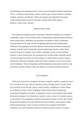 Stanislovo Lukošiaus fotografijų parodos ,,Nemiestiškas miestas” recenzija 2 puslapis