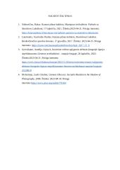 Stanislovo Lukošiaus fotografijų parodos ,,Nemiestiškas miestas” recenzija 4 puslapis