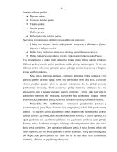 Rinkodaros logistika 11 puslapis