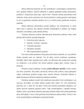 Rinkodaros logistika 12 puslapis