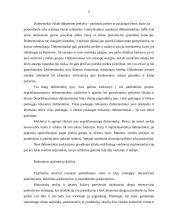 Rinkodaros logistika 4 puslapis