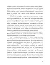 Fiskalinė sistema Lietuvoje 5 puslapis