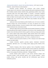 Gyvybės draudimas: "Commercial Union Lietuva" 6 puslapis