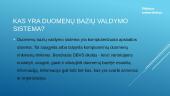 Duomenų bazių valdymo sistema 2 puslapis