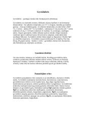 Gyvsidabris (referatas) 2 puslapis