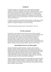 Gyvsidabris (referatas) 3 puslapis