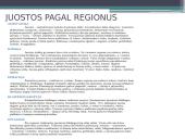 Juostos, jų pynimas ir istorija 10 puslapis