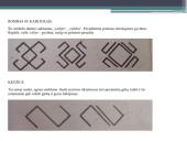 Juostos, jų pynimas ir istorija 12 puslapis