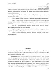 IA IR IIA grupės elementai 11 puslapis