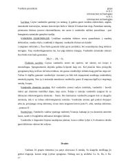 IA IR IIA grupės elementai 16 puslapis