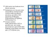 Euro valiuta. Skaidrės 4 puslapis