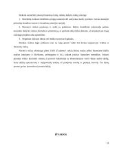 Įmonės finansinės būklės analizė: UAB "Evadenta" 18 puslapis