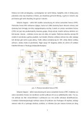 Mobiliosios programėlės “Boop” duomenų bazė ir analizavimas 6 puslapis