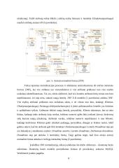 Mobiliosios programėlės “Boop” duomenų bazė ir analizavimas 7 puslapis