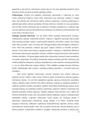 Informacinė logistika 13 puslapis