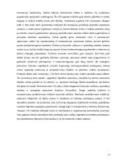 Informacinė logistika 17 puslapis