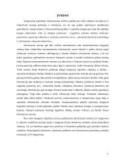 Informacinė logistika 3 puslapis