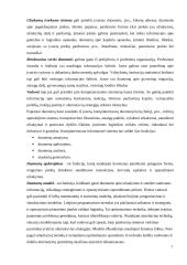 Informacinė logistika 7 puslapis