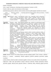 Individualios pagalbos stebėtam mokiniui teikimo aprašas 3 puslapis