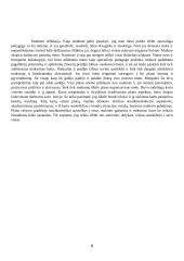 Individualios pagalbos stebėtam mokiniui teikimo aprašas 6 puslapis