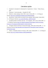 Investiciniai sprendimai ir jų pasirinkimo nauda 10 puslapis