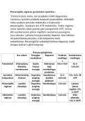 Ląstelinis kvėpavimas. Aerobinis ir anaerobinis 6 puslapis