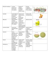 Ląstelės dalių savybės, sandara, funkcijos, išvaizda 2 puslapis