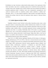 Lyderio elgsenos įtaka projektų efektyvumui 12 puslapis