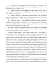 Lyderio elgsenos įtaka projektų efektyvumui 13 puslapis