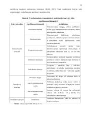 Lyderio elgsenos įtaka projektų efektyvumui 14 puslapis