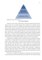 Lyderio elgsenos įtaka projektų efektyvumui 19 puslapis