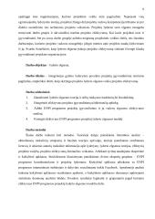 Lyderio elgsenos įtaka projektų efektyvumui 7 puslapis