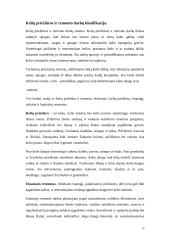 Kelių projektavimas 13 puslapis