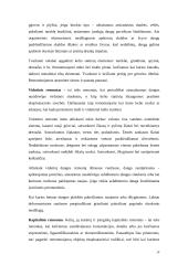 Kelių projektavimas 14 puslapis