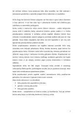 Kelių projektavimas 3 puslapis