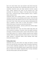 Kelių projektavimas 6 puslapis