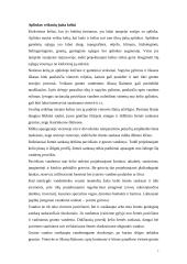 Kelių projektavimas 7 puslapis