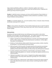 Nekilnojamo turto mokestis - koliokviumas 2 puslapis