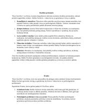 Edward Zwick režisuoto filmo ,,Pawn sacrifice” recenzija 4 puslapis