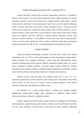 Keramikos istorija 8 puslapis