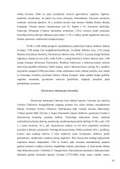 Keramikos istorija 10 puslapis
