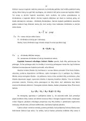 Komercinių bankų finansiniai ištekliai ir jų valdymas 13 puslapis