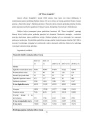 Investicinio portfelio sudarymas ir vertinimas 12 puslapis